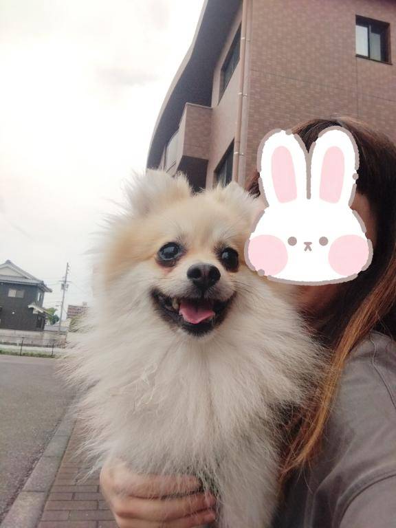 わんコ???体調不良です?