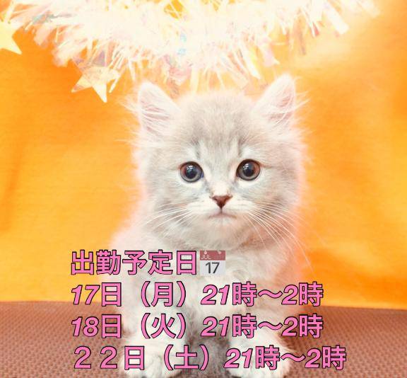 眠れない夜には…??
