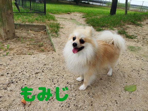 出勤上げてたけど・・すいません?