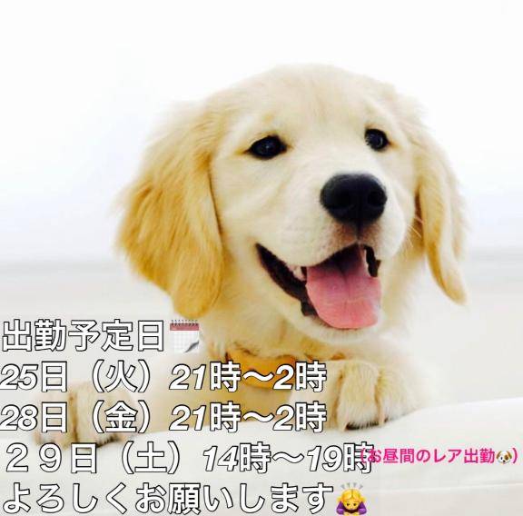 日曜日の朝??