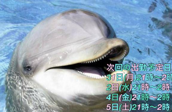 毎日の水分補給、どうしてる？