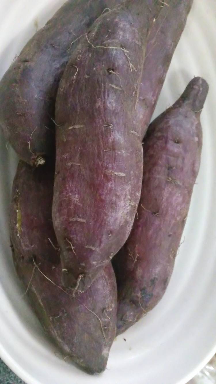 ?こんにちは?