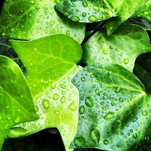 全国各地、大雨に警戒！
