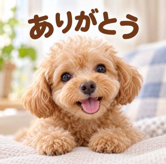 11日（金）曜日のお礼