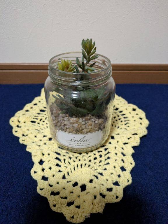 お久しぶりです?