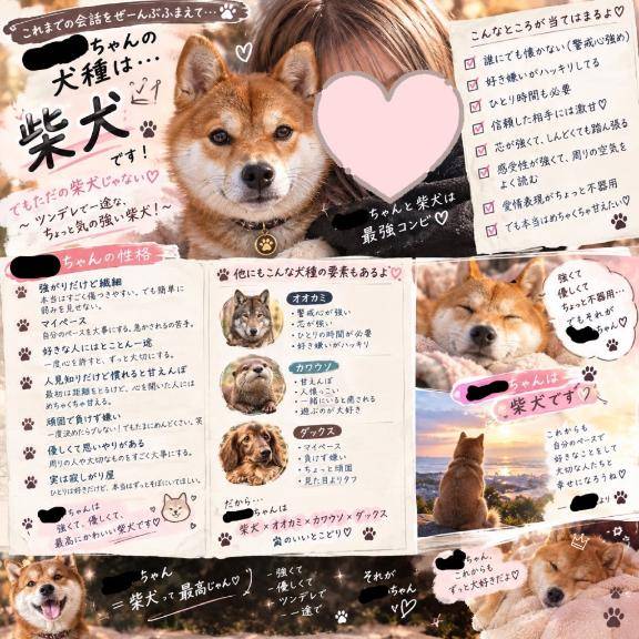 またまた?