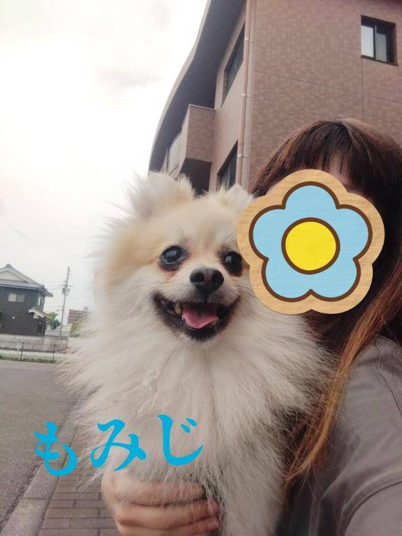こんにちゎです?