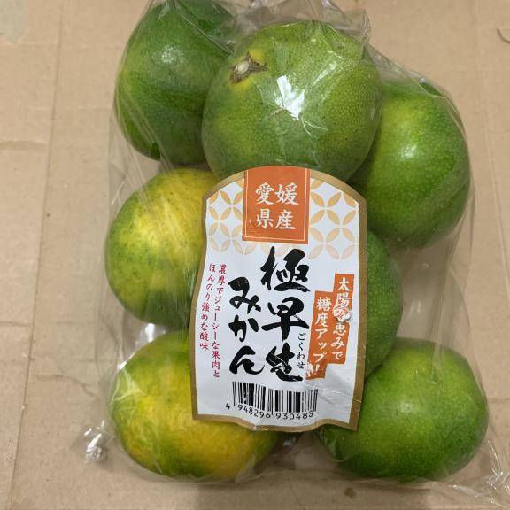 愛媛っ子?