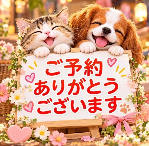 11日（日）23時半~事前予約ありがとうございます?