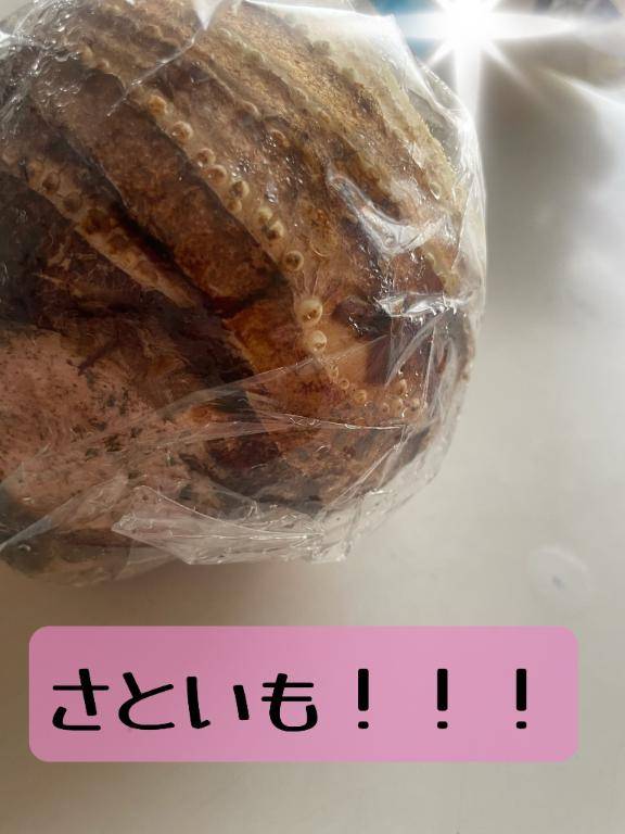 おやいもって…