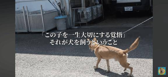 こんばんわ?