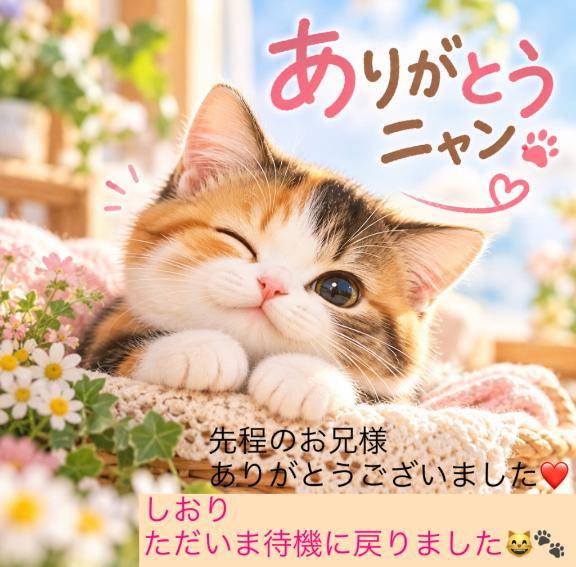 先程のお兄様のお礼＆しおりただいま待機に戻りました?