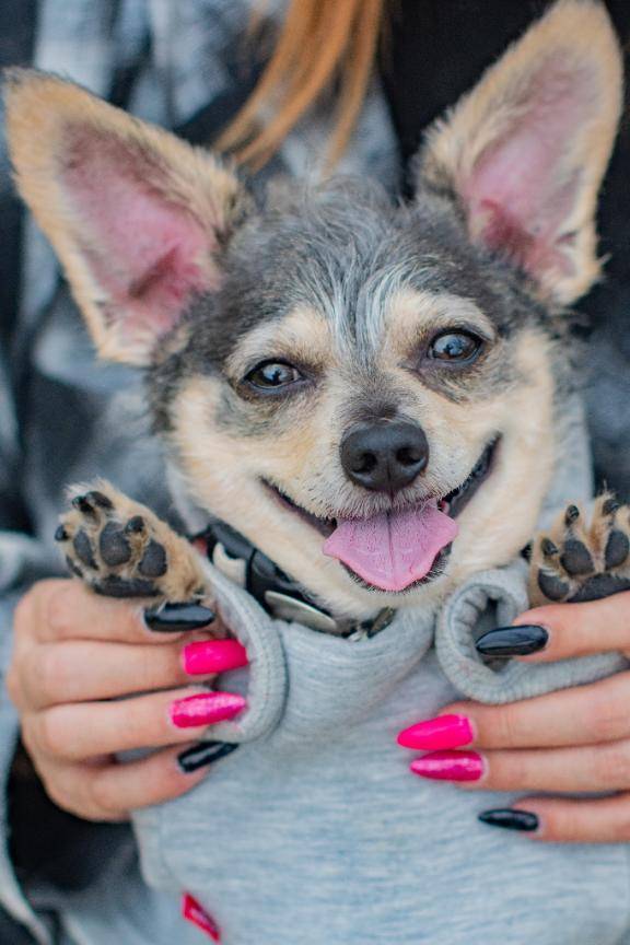 愛犬に癒される朝??