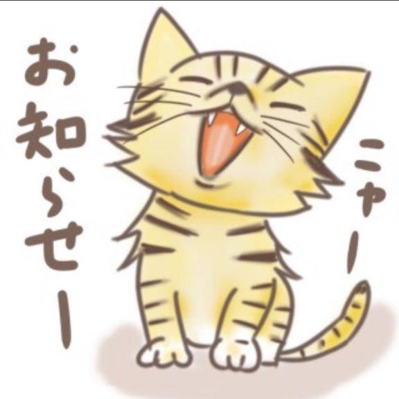 ☆お知らせ☆