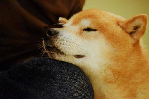 [お題]from:それを許さない社会さん