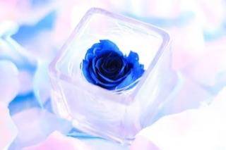 16時からのお客様へ