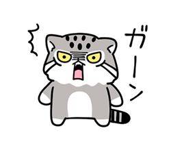 bad news (??グロッキーな画像あり)