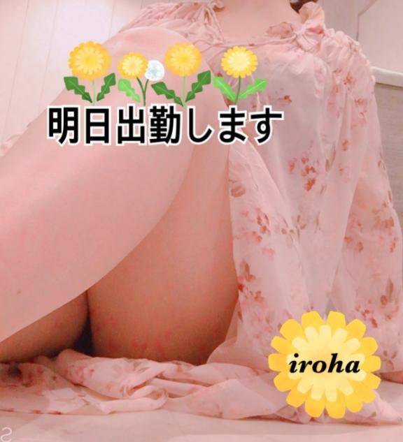 (｡・д・｡)ﾉｼ