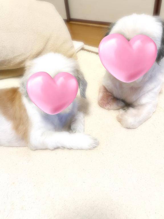 えまー