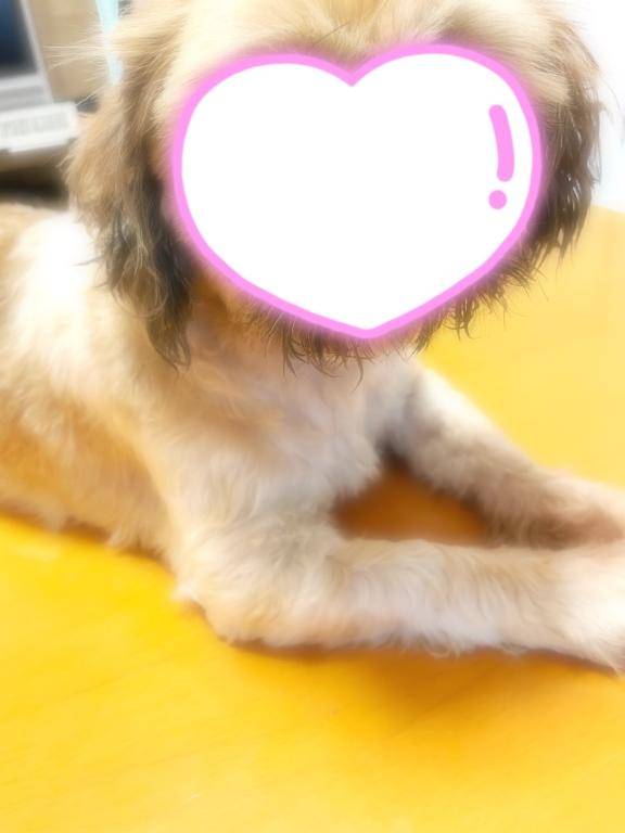 えまー