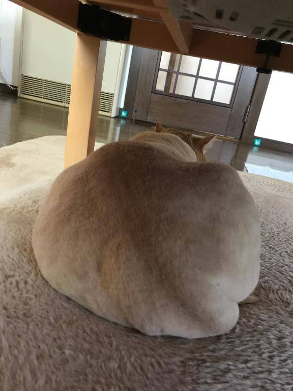 えまー
