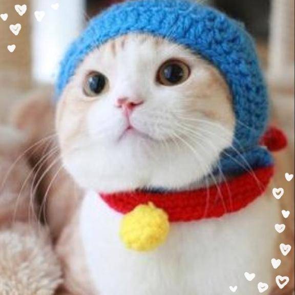 [お題]from:買うやろさん