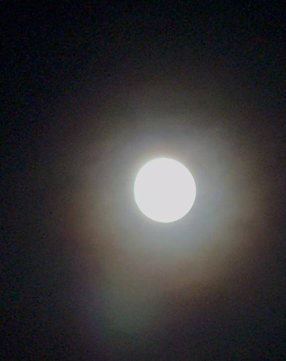 月が綺麗ですね?