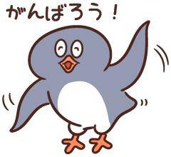 今日も