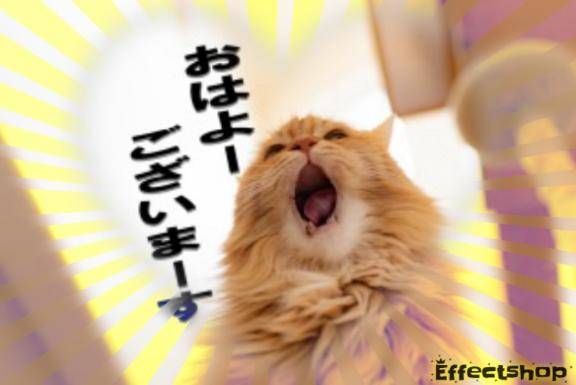 おはようございます?