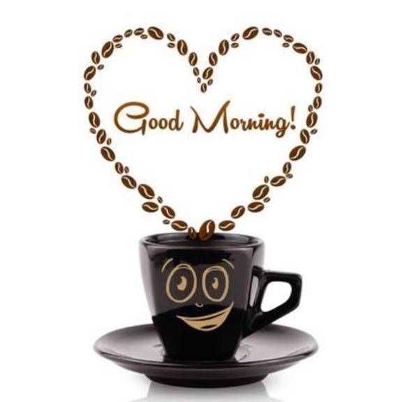 おはようございます?