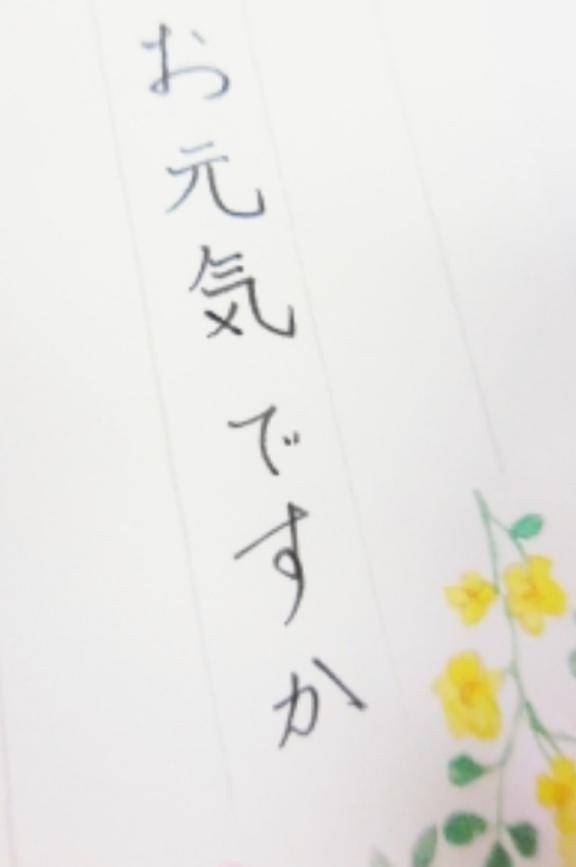 帰宅~?