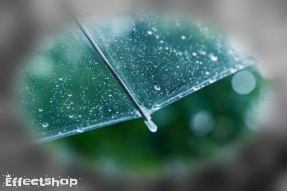 帰宅~?と、10月の御礼と??