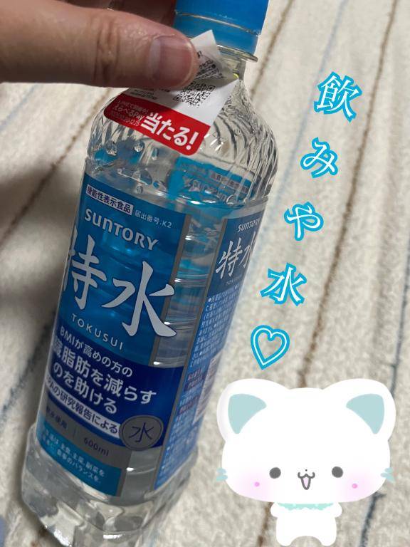 一日一ウォーリー?