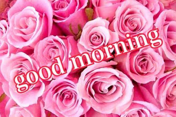 おはようございます?