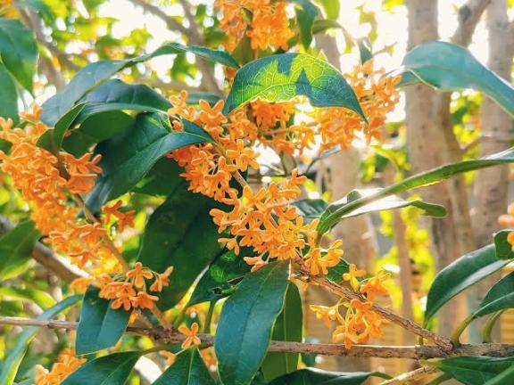 [お題]from:シャボンさん