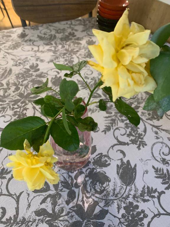 こんにちは\(//∇//)\