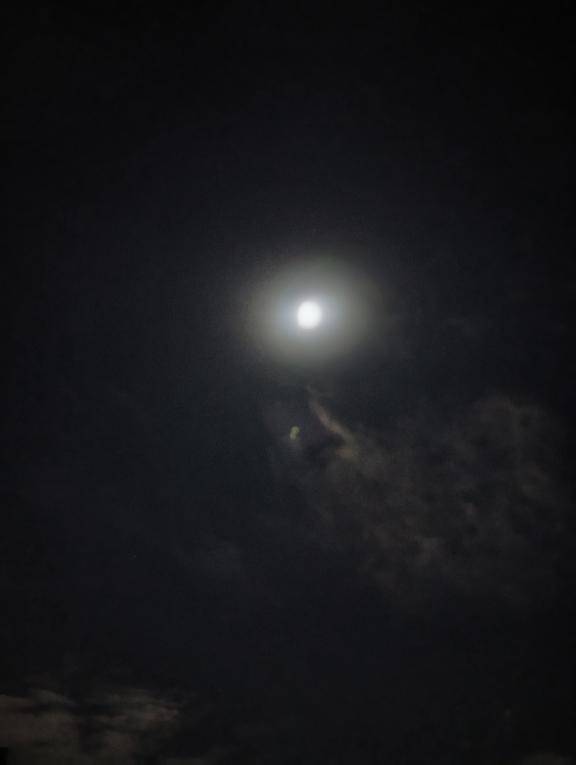 月が綺麗ですね?