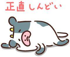 冷たいチ○コ(貧血気味の方は読まない方がいいです)