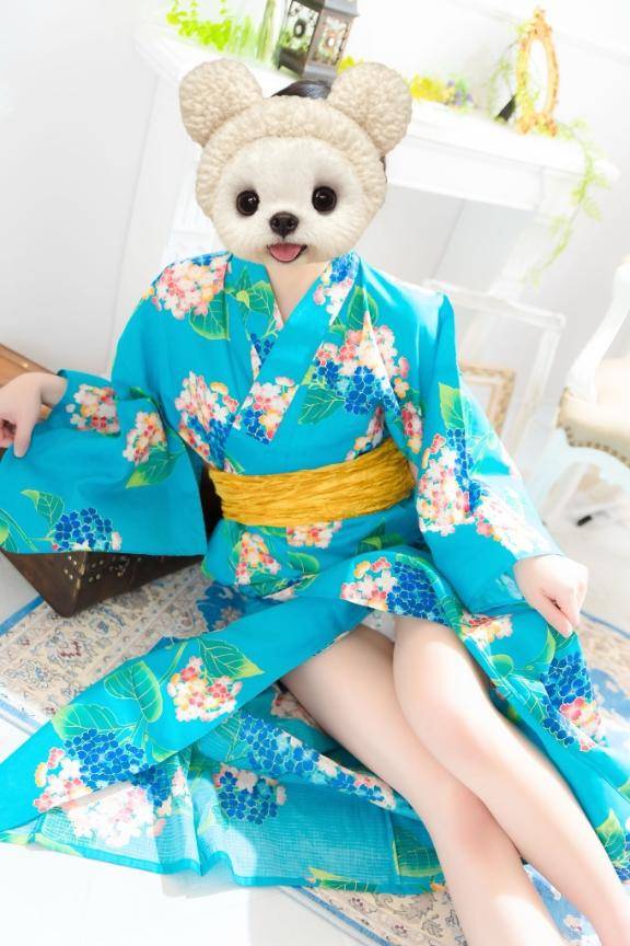 [お題]from:カンパチさん