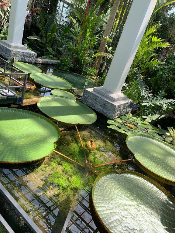 おはようございます\(//∇//)\