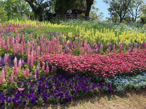 [お題]from:本体はめがねさん