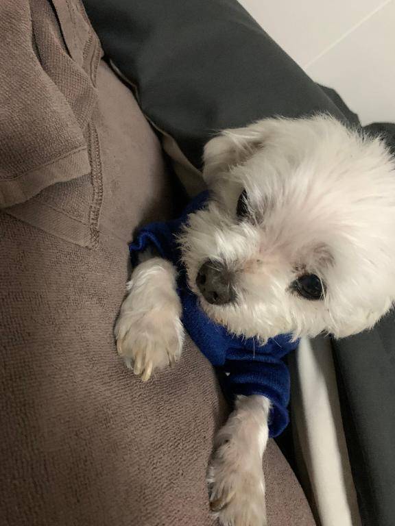 ありがとうございました??です