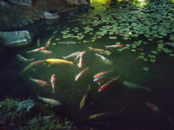 [お題]from:キリンさん