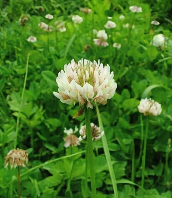 [お題]from:日曜デートやねんさん