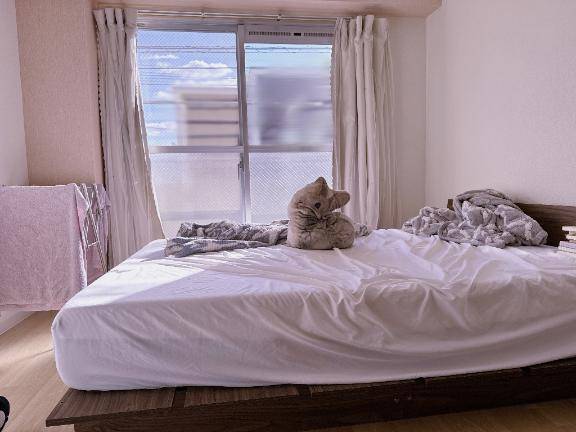 お部屋のお掃除???