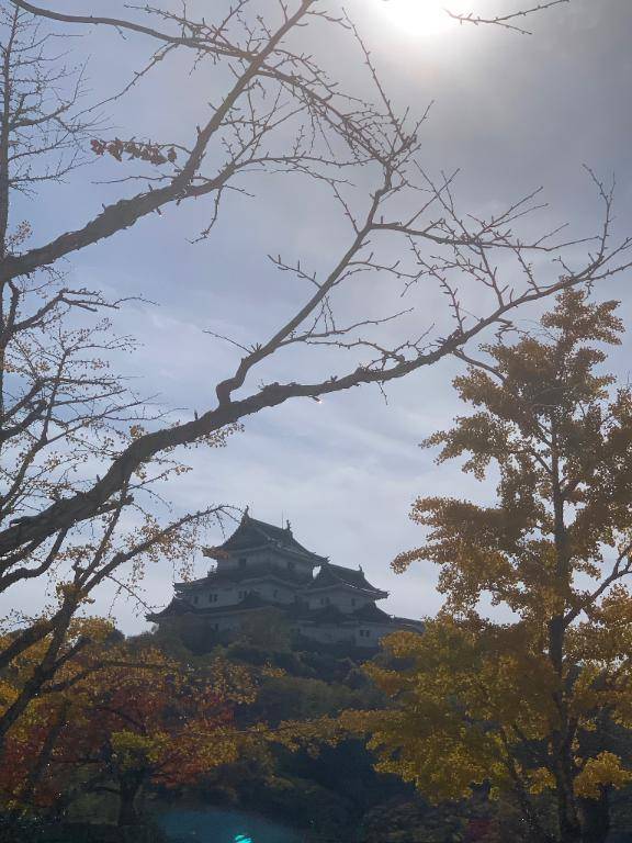 こんにちわ?(*´?`*)??