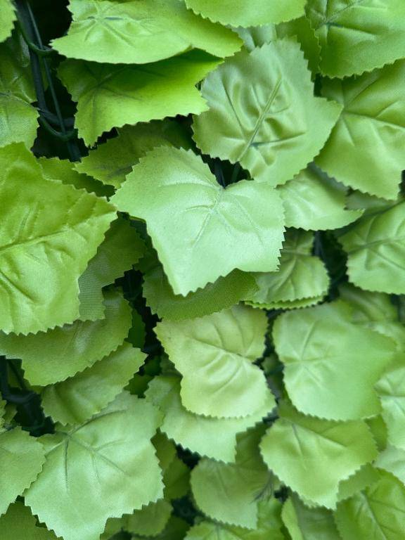 るな（金瓶梅　城東町で一番人気のあるお店）