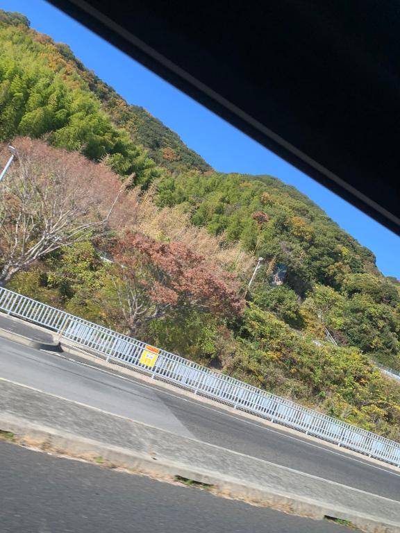 おはようございます???