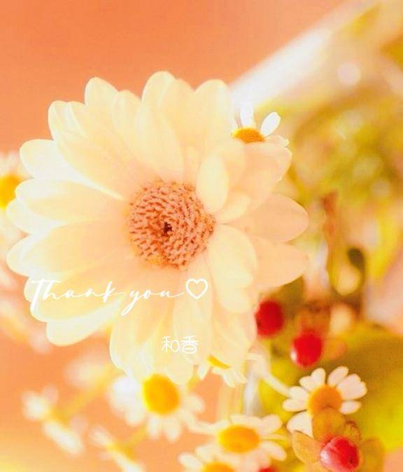 昨日のありがとう?