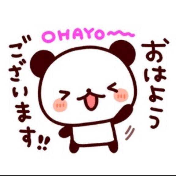 おはようございます?